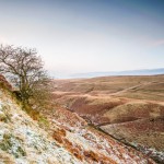 Lonely Tree in the Wessenden Valley (Landscape) Lonely Tree in the Wessenden Valley (Landscape)